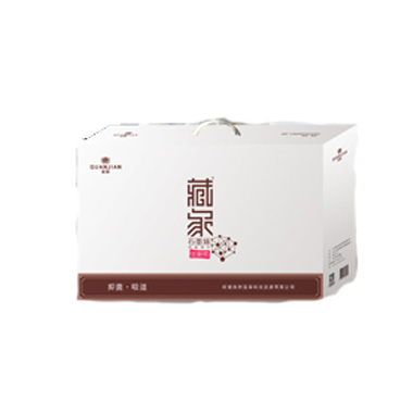 藏象®石墨烯智能调节宜眠枕